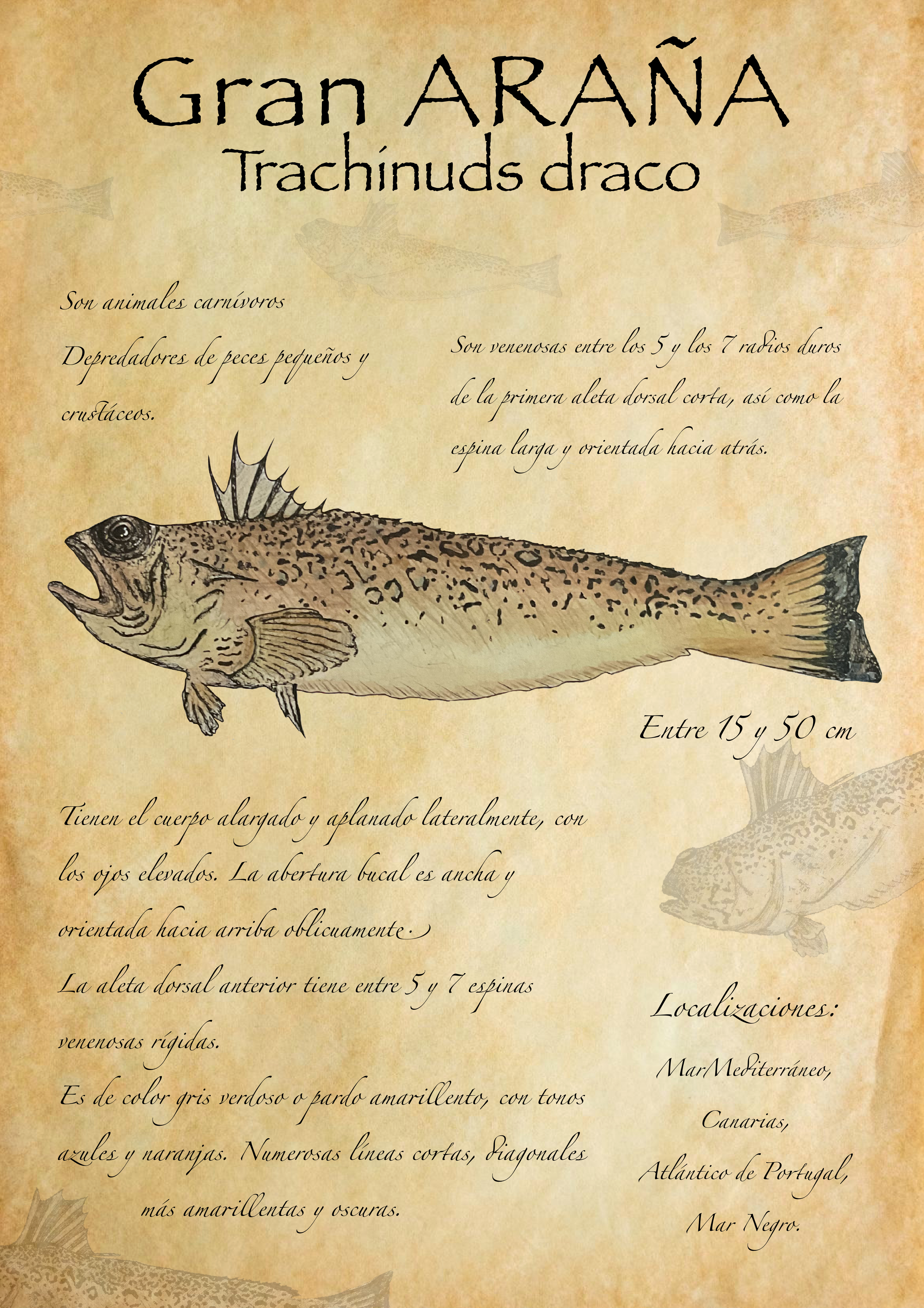 Ilustraciones científicas